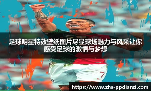 pp电子